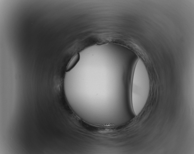 X0000094780125200711160858