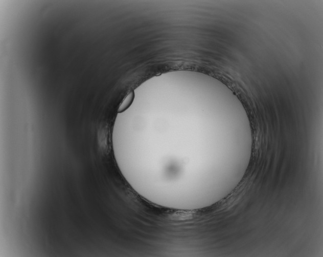 X0000094780138200711160858