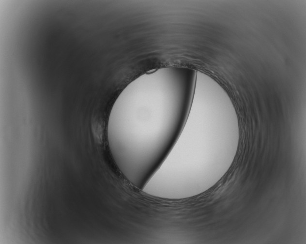 X0000094780139200711160858