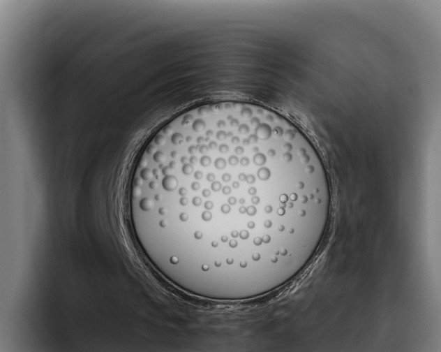 X0000094780145200711160857