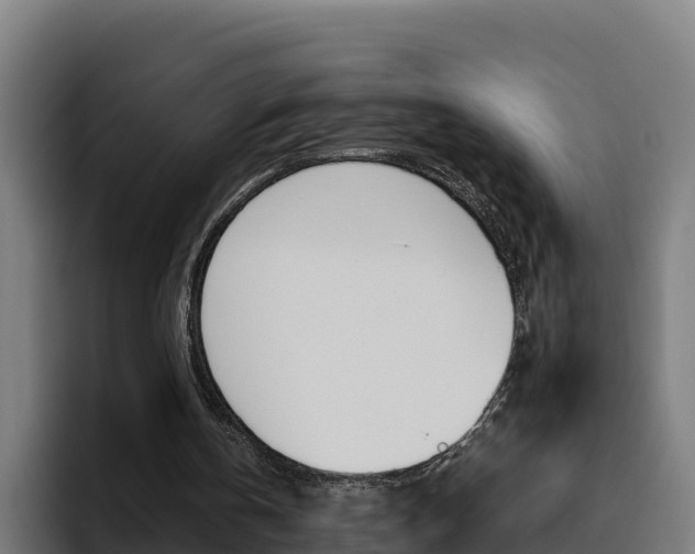 X0000094780146200711160857