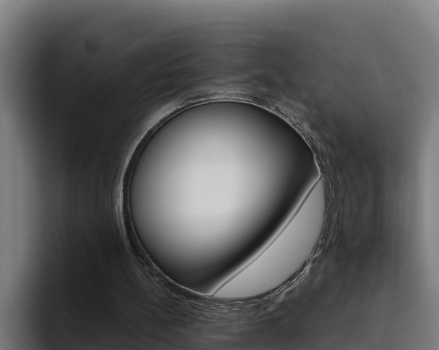 X0000094780148200711160857