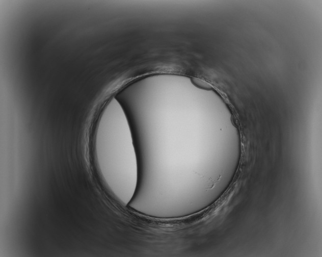 X0000094780149200711160857