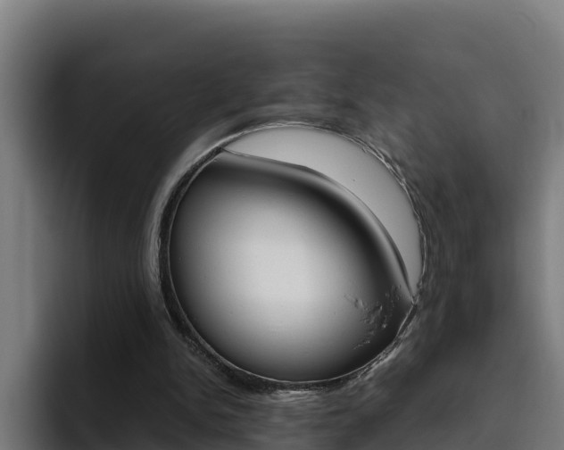 X0000094780150200711160857