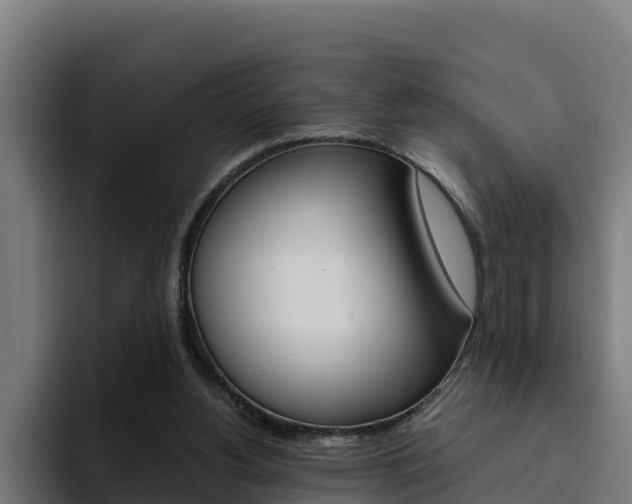 X0000094780156200711160857