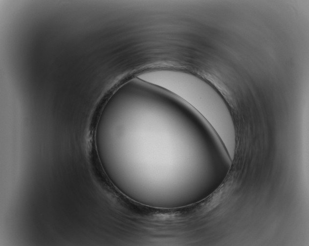 X0000094780160200711160857