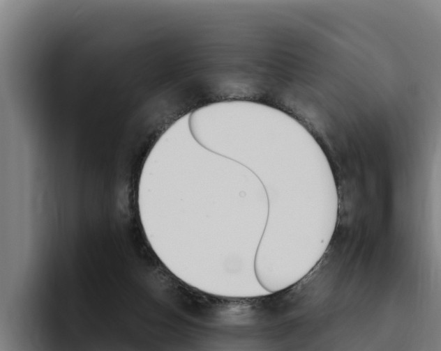 X0000094780162200711160857