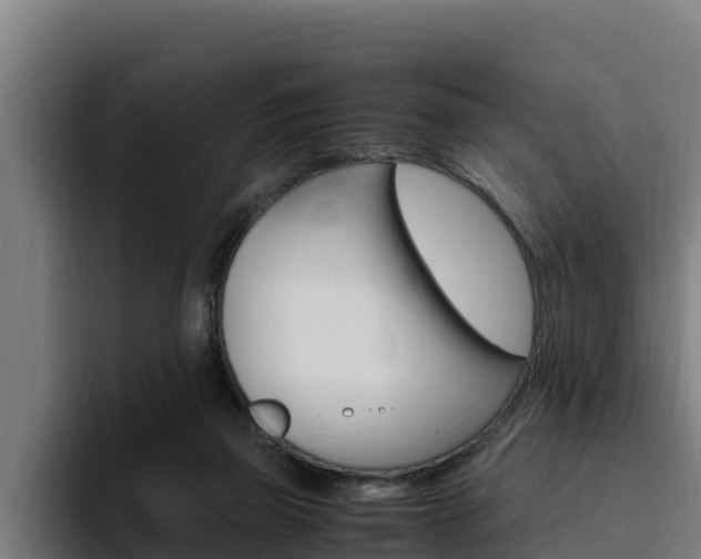 X0000094780165200711160857