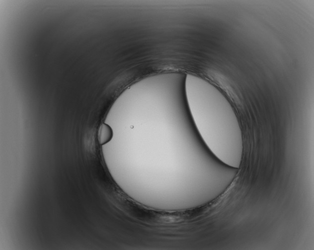 X0000094780167200711160857