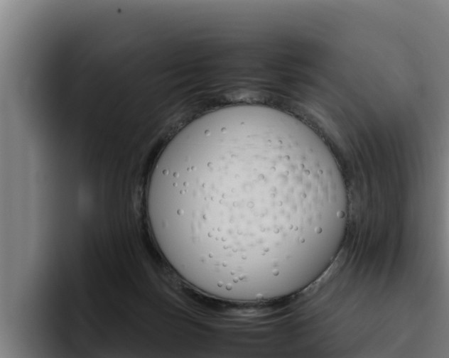 X0000094780171200711160857