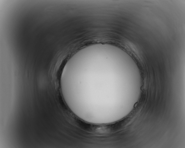 X0000094780173200711160858