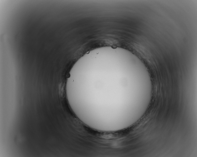 X0000094780177200711160858