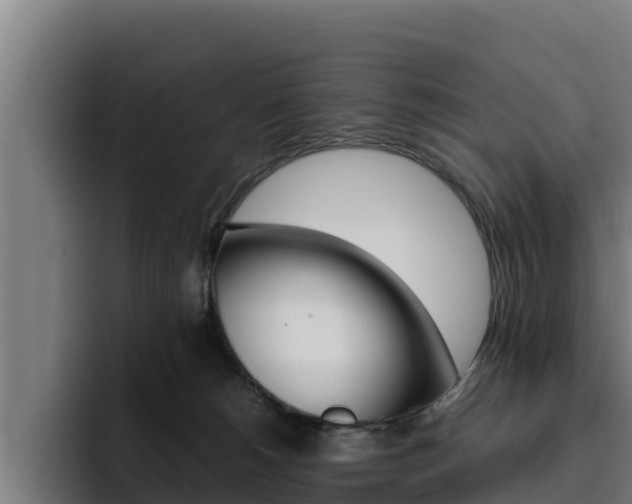 X0000094780180200711160858
