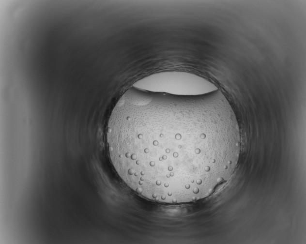X0000094780187200711160858