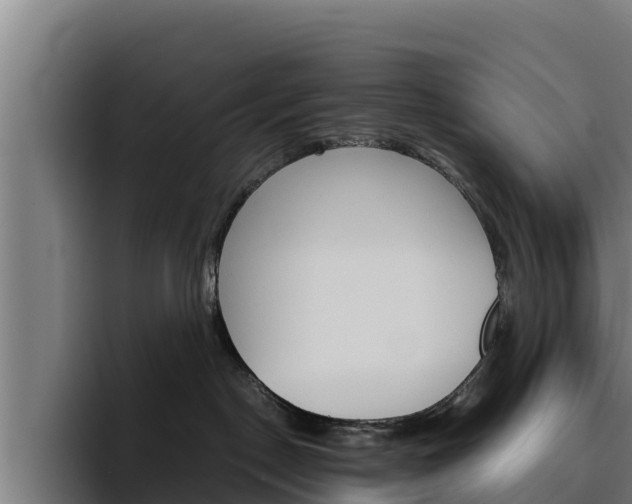 X0000094780190200711160858