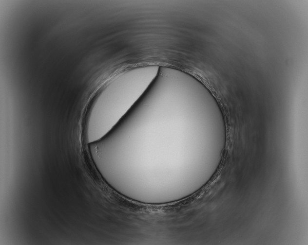 X0000094780194200711160857
