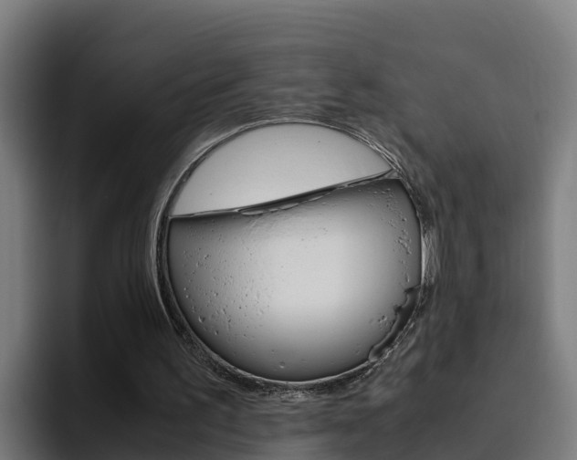 X0000094780195200711160857