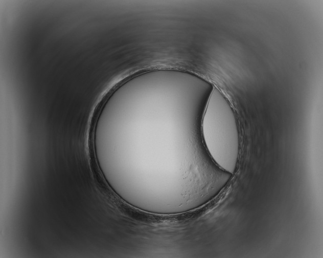 X0000094780196200711160857