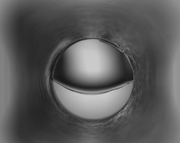 X0000094780197200711160857