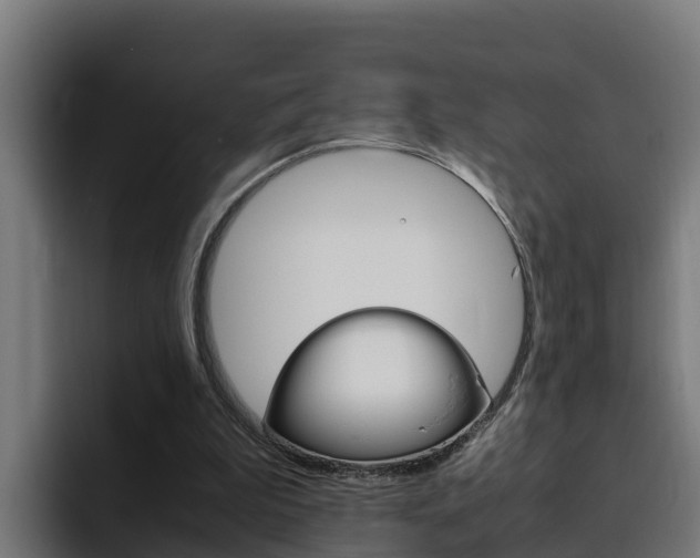 X0000094780199200711160857