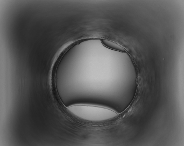 X0000094780200200711160857