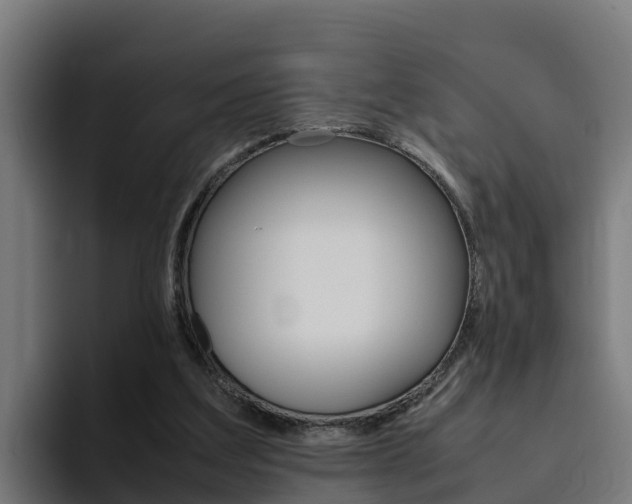 X0000094780203200711160857