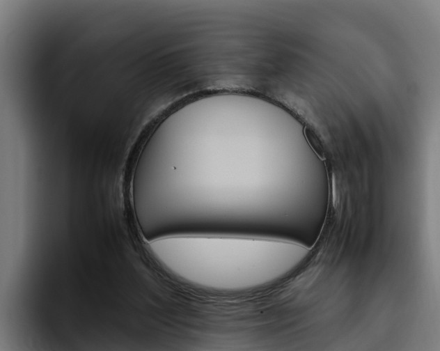 X0000094780204200711160857