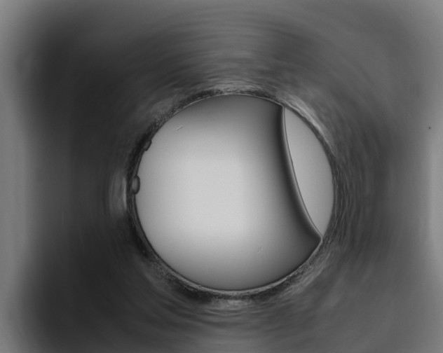 X0000094780205200711160857