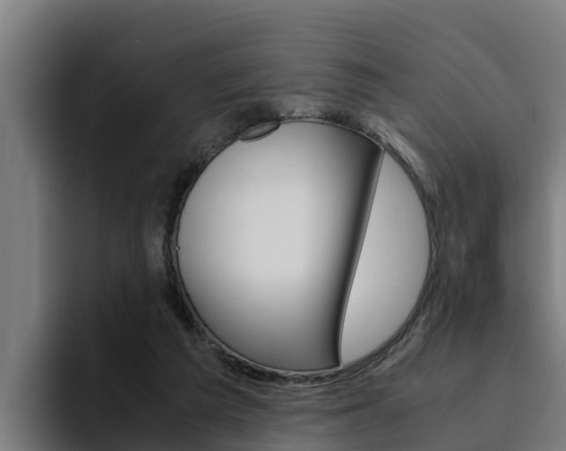 X0000094780209200711160857