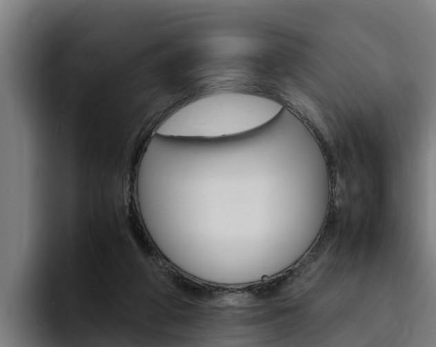X0000094780210200711160857