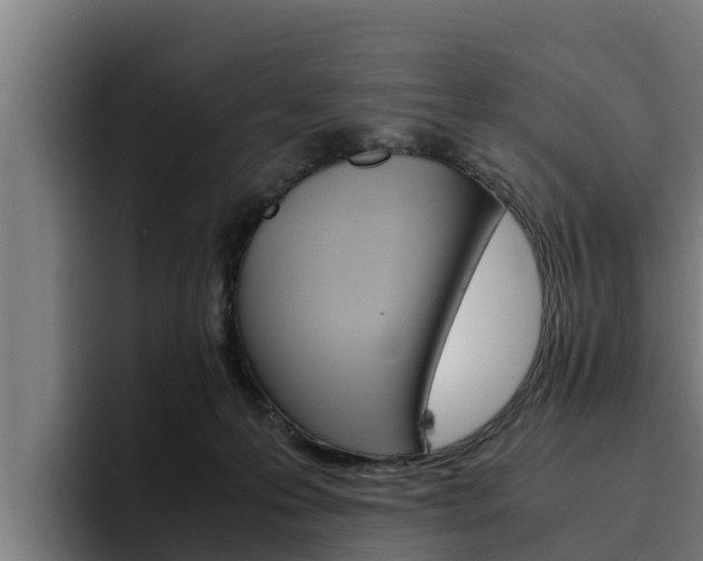 X0000094780223200711160857