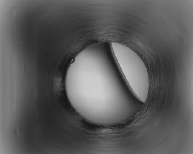 X0000094780224200711160857