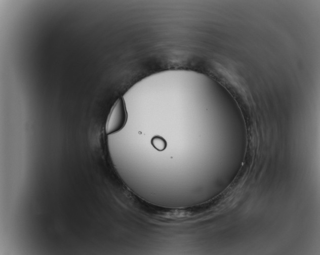 X0000094780225200711160857