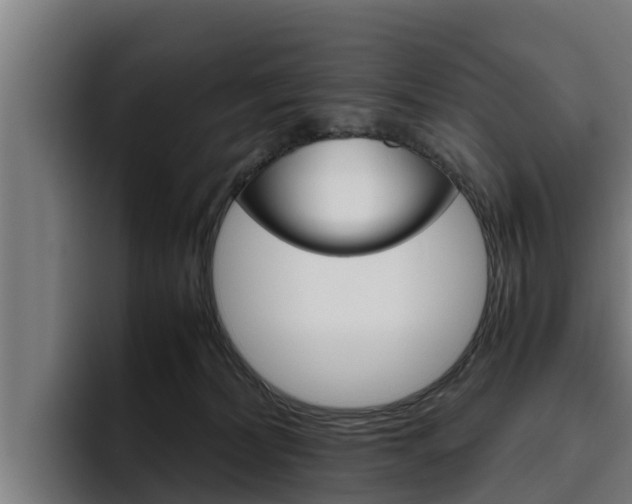 X0000094780228200711160857