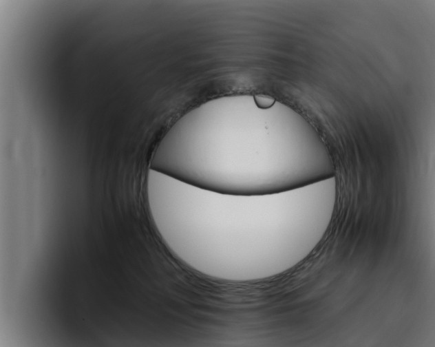 X0000094780230200711160857