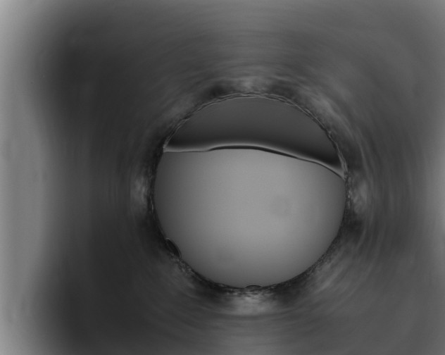 X0000094780235200711160857