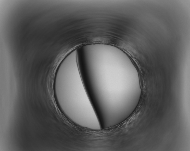 X0000094780241200711160856