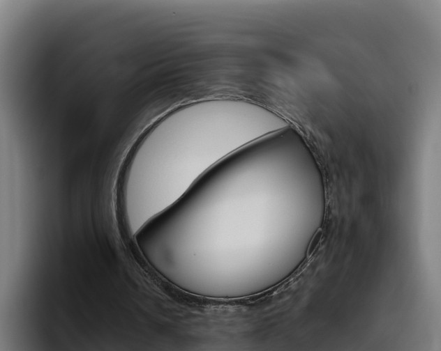 X0000094780242200711160856
