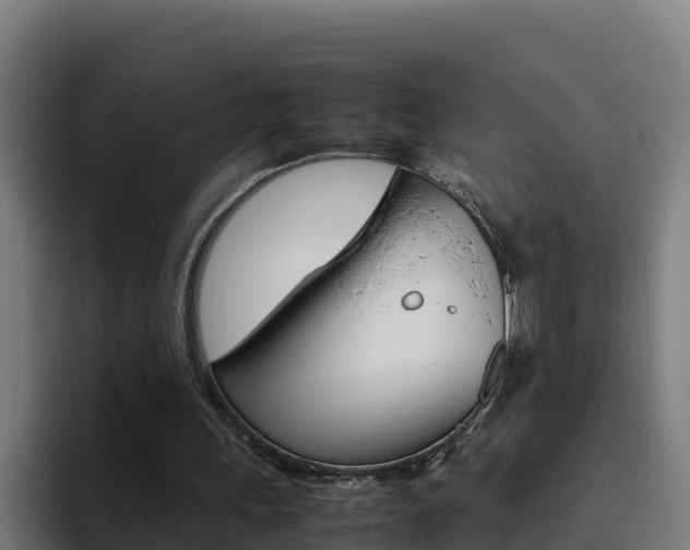 X0000094780243200711160856
