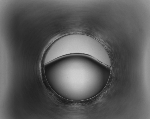X0000094780244200711160856