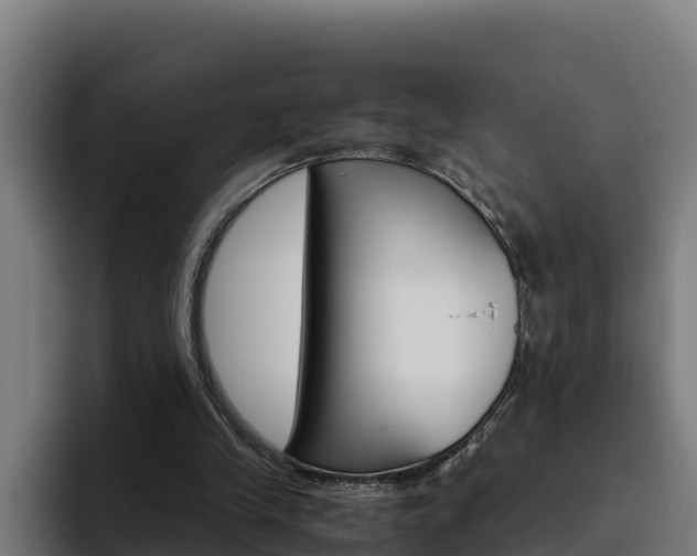 X0000094780245200711160856