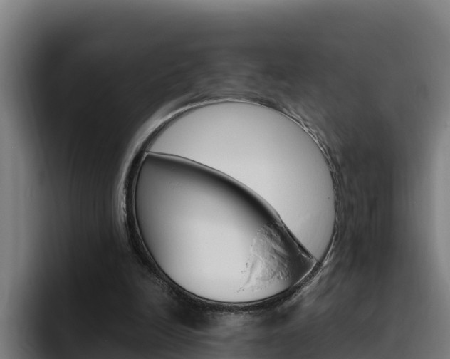 X0000094780246200711160856