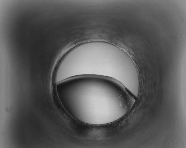 X0000094780248200711160856