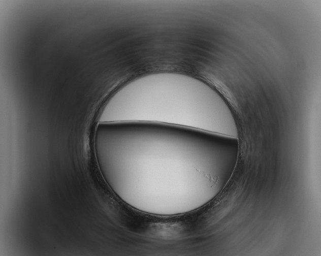 X0000094780251200711160856