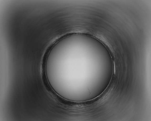 X0000094780252200711160856