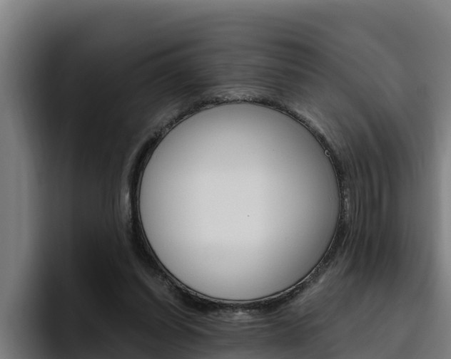 X0000094780254200711160856