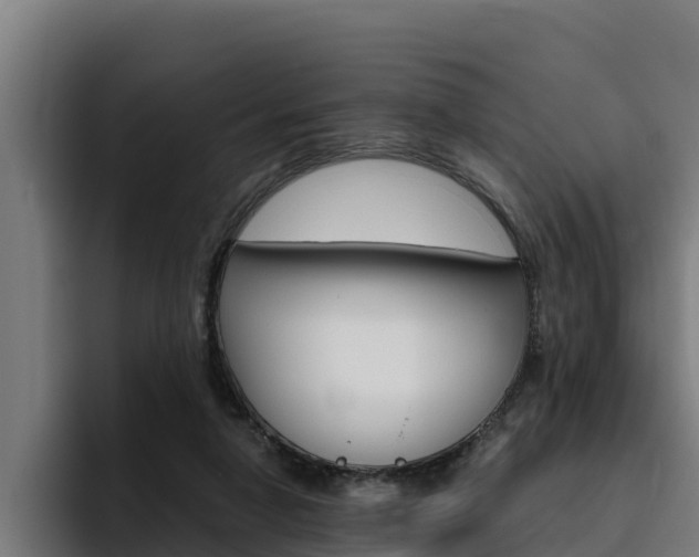 X0000094780258200711160856