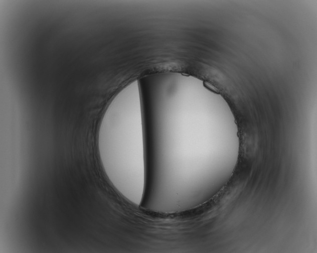 X0000094780259200711160856