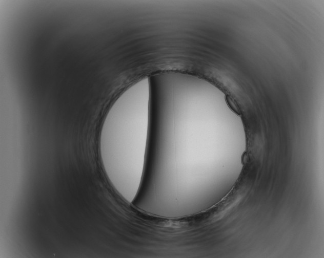 X0000094780261200711160856