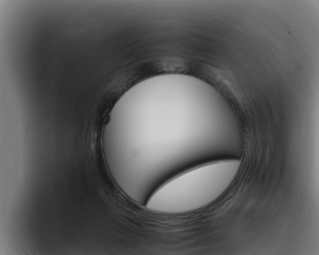 X0000094780263200711160856